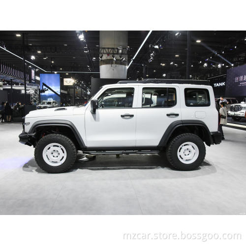 China Cheapest Changcheng Tank 300 SUV 2023 Off-road version 2.0T Collector gasoline car with sunroof